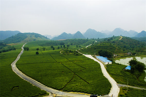 清遠(yuǎn)管理咨詢機(jī)構(gòu)的定制化服務(wù)方面包含哪些內(nèi)容？