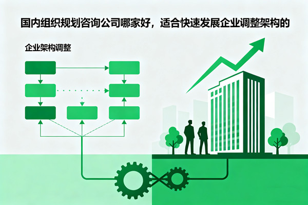 國內(nèi)組織規(guī)劃咨詢公司哪家好，適合快速發(fā)展企業(yè)調(diào)整架構(gòu)的