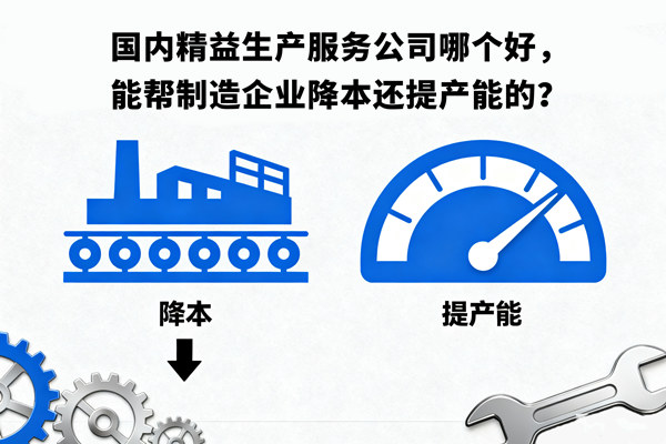 國內精益生產服務公司哪個好，能幫制造企業(yè)降本還提產能的？